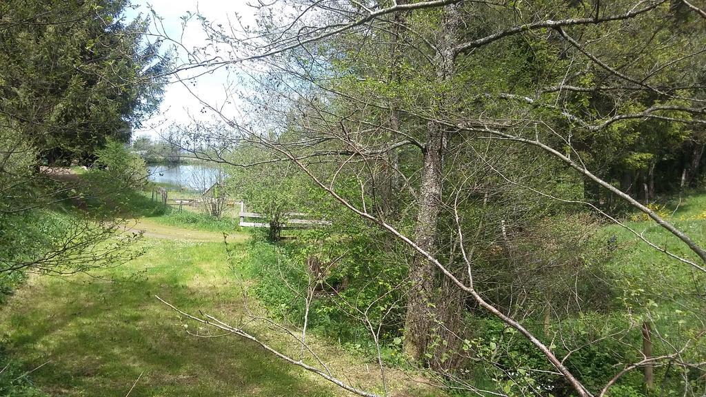 Camping De Flechat Orcival Exterior photo